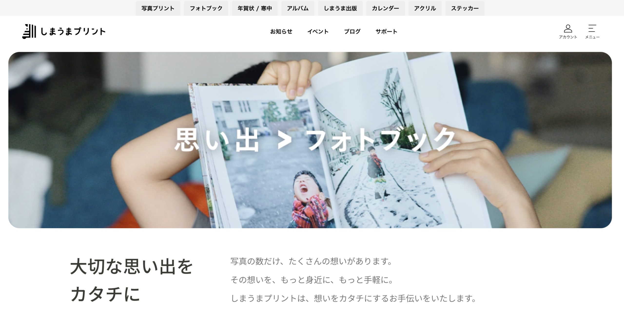 しまうま