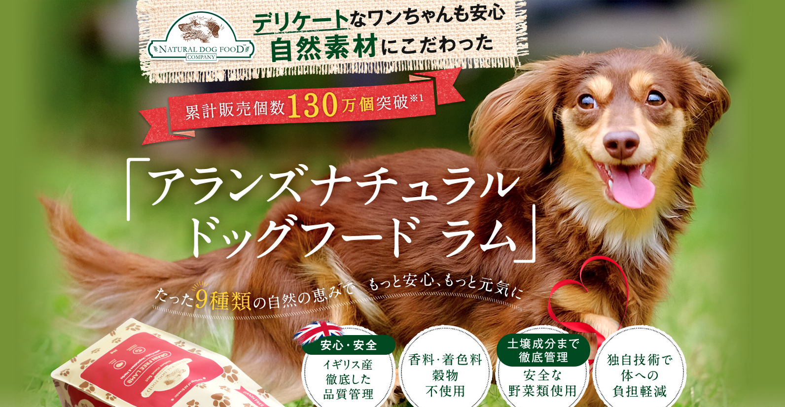 アランズ ナチュラルドッグフード
